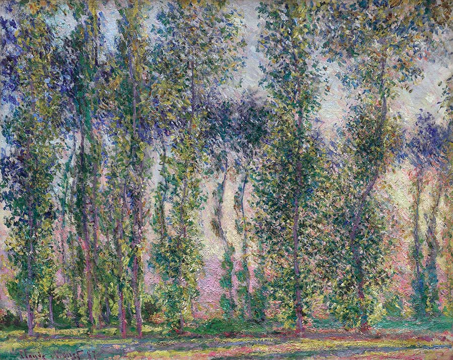 One of Claude Monet's versions of a row of Poplar trees (Populus Nigra Italica).