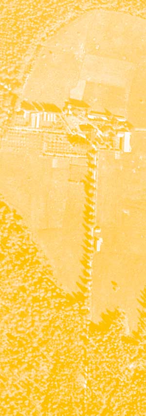 contact - e-mail - address - phone number of the sculptor, Lucien den Arend