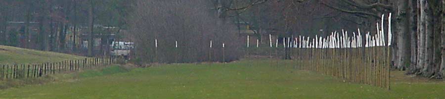 A row of willows forms a curved green wall in "trajectory for Rembrandt" in Baarn, Netherlands.